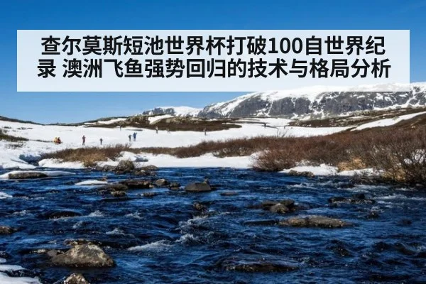查尔莫斯短池世界杯打破100自世界纪录 澳洲飞鱼强势回归的技术与格局分析